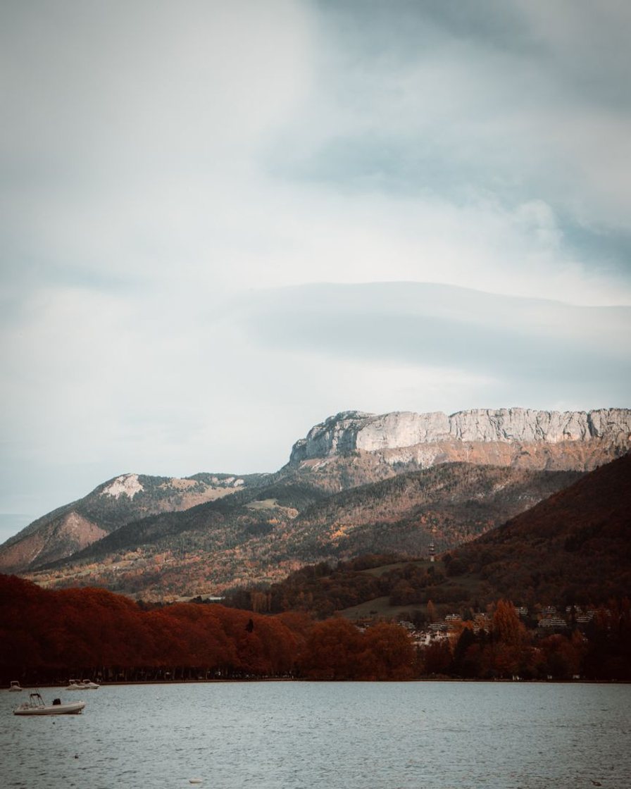 La rive boisée du lac d'Annecy le long de laquelle passe le tour du lac